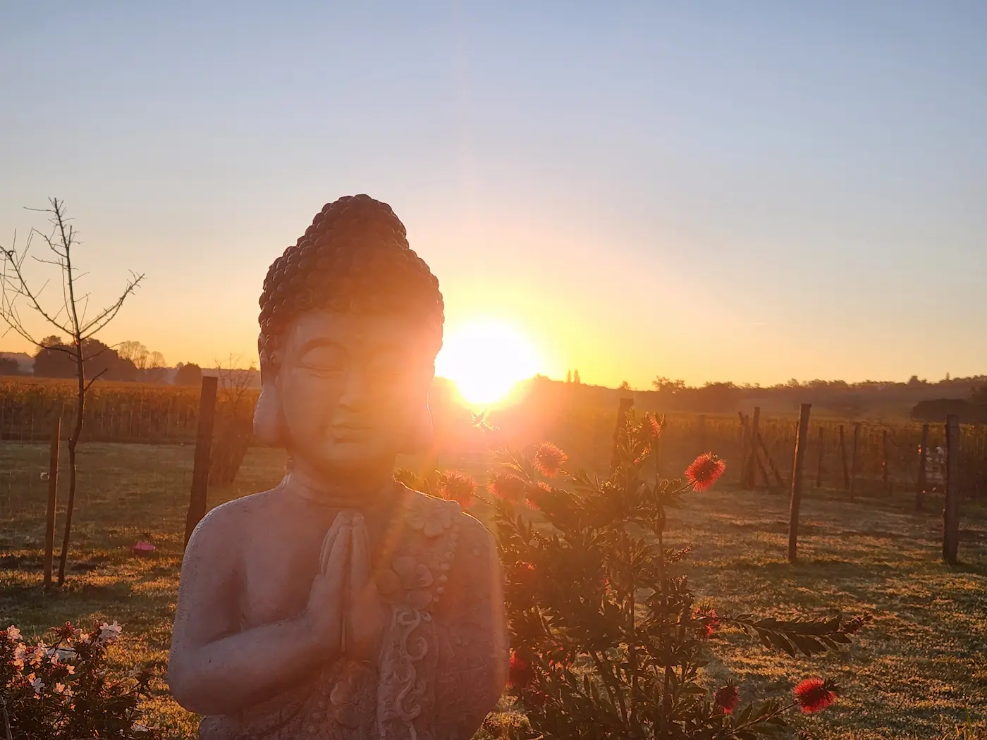 Elisabète Araujo - Sophrologue à Ribagnac